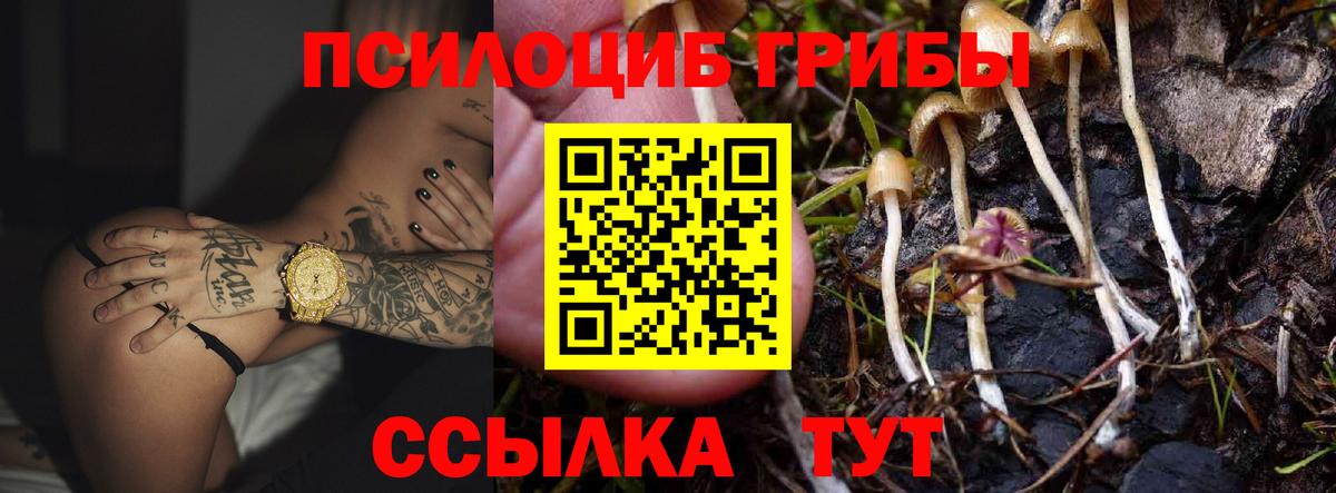 Галлюциногенные грибы прущие грибы  Вход с VPN  Фролово 